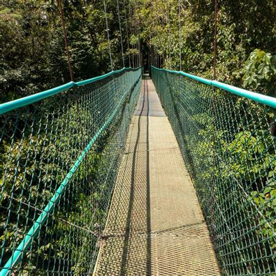 Längste Hängebrücke
